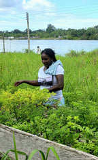Isla Gorgona y Guapi en Semana Santa