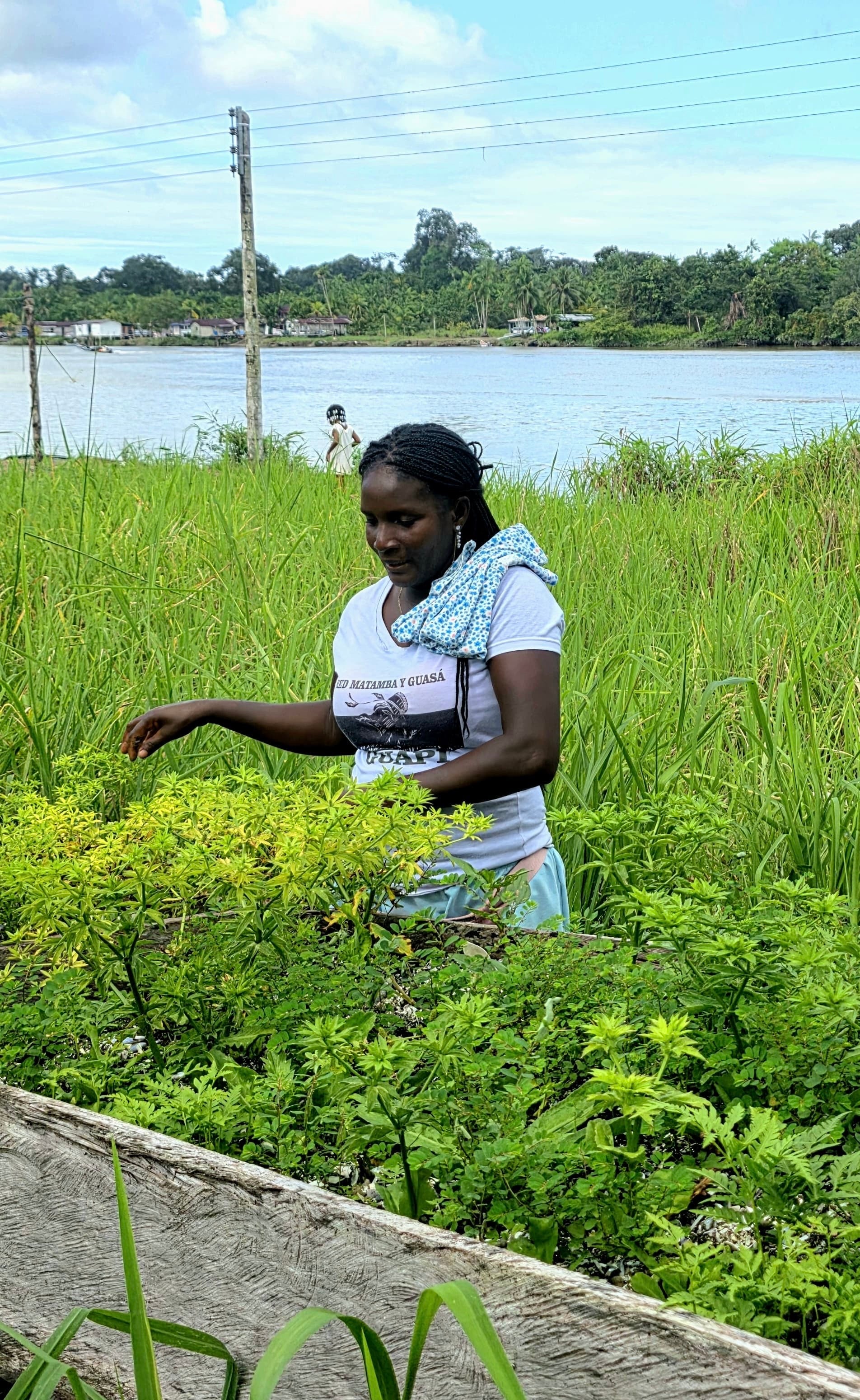 Isla Gorgona y Guapi en Semana Santa