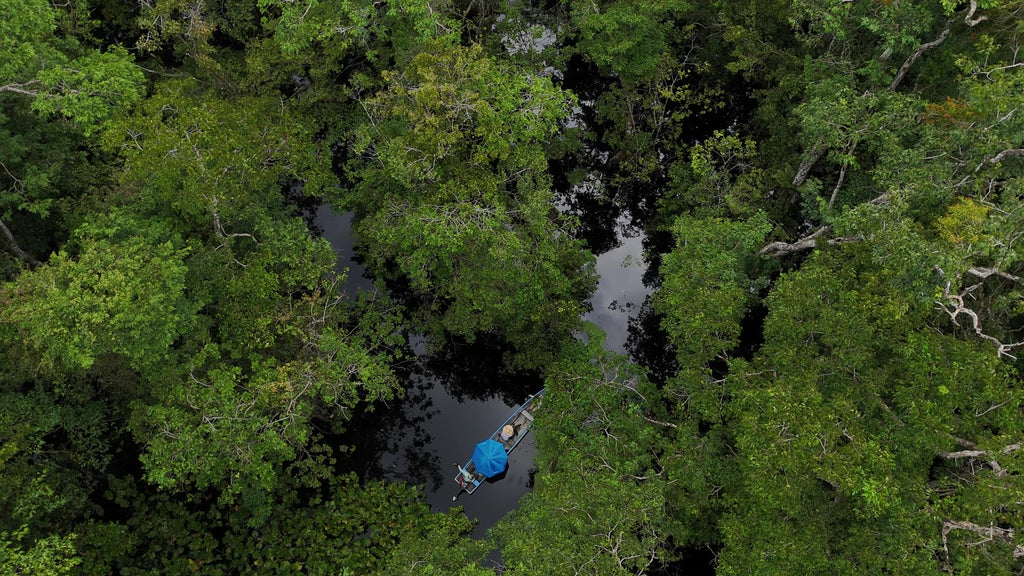 Surikí- reserva de jaguares y reconciliación