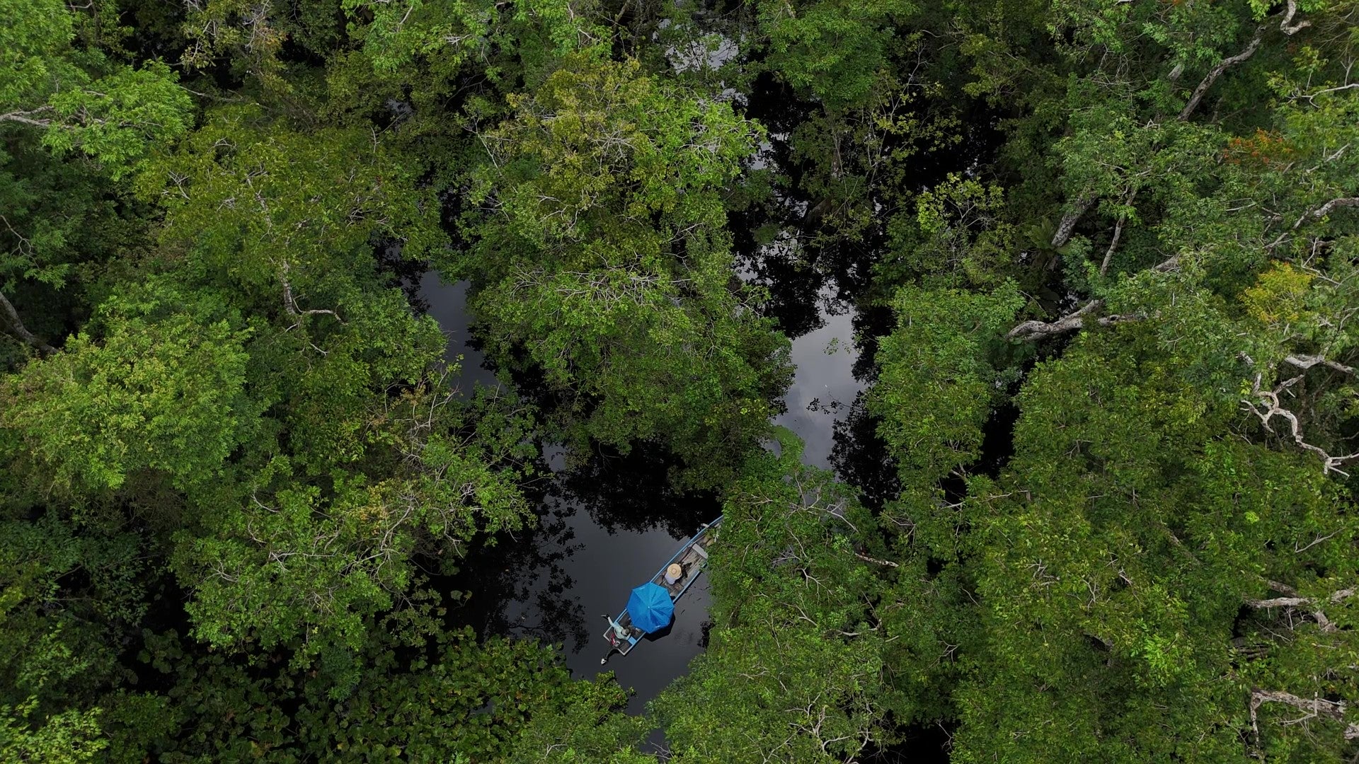 Surikí- reserva de jaguares y reconciliación