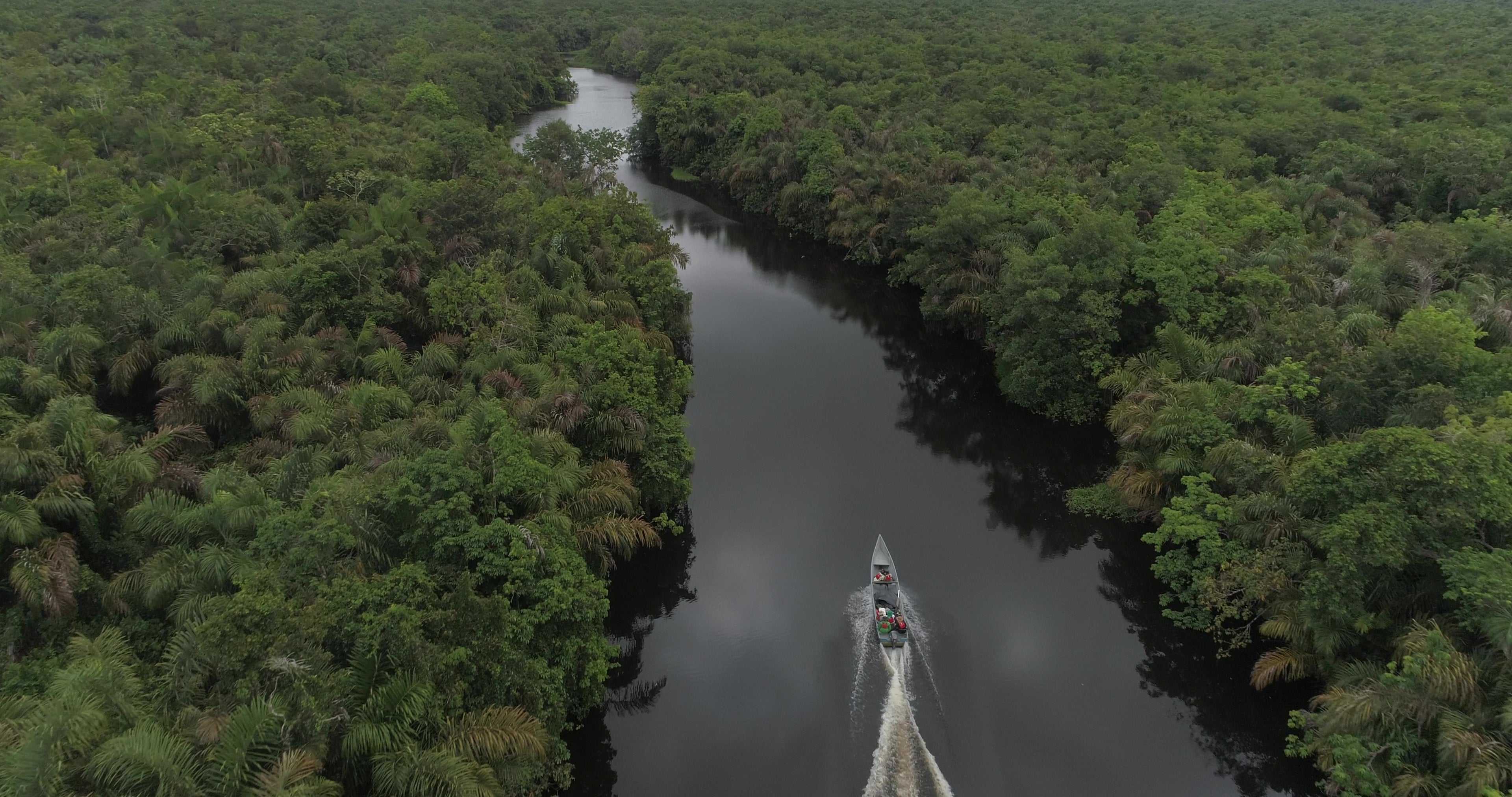 Surikí- reserva de jaguares y reconciliación