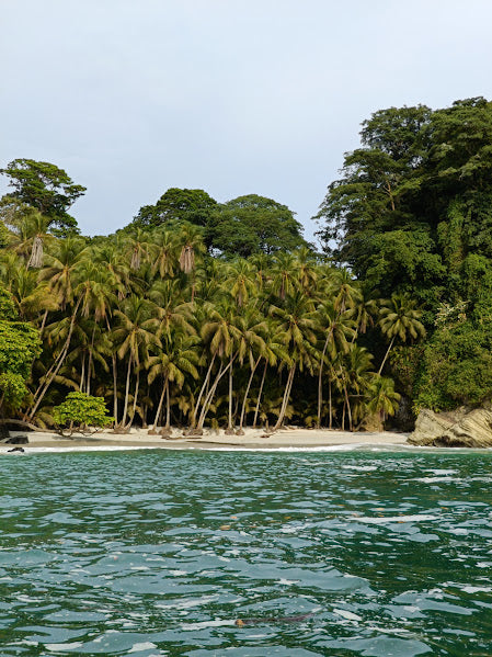 Isla Gorgona y Guapi en Semana Santa