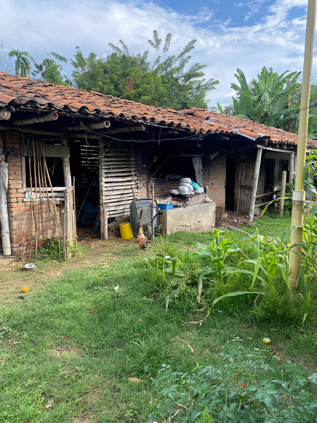 Barra de Chocolate Rio Palo