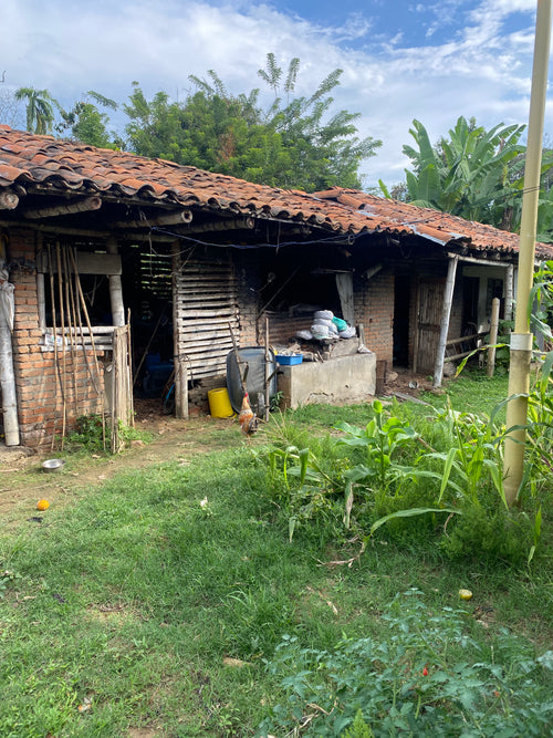 Barra de Chocolate Rio Palo