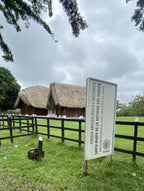 Santa María de la Antigua del Darién