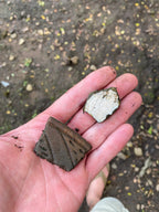 Santa María de la Antigua del Darién