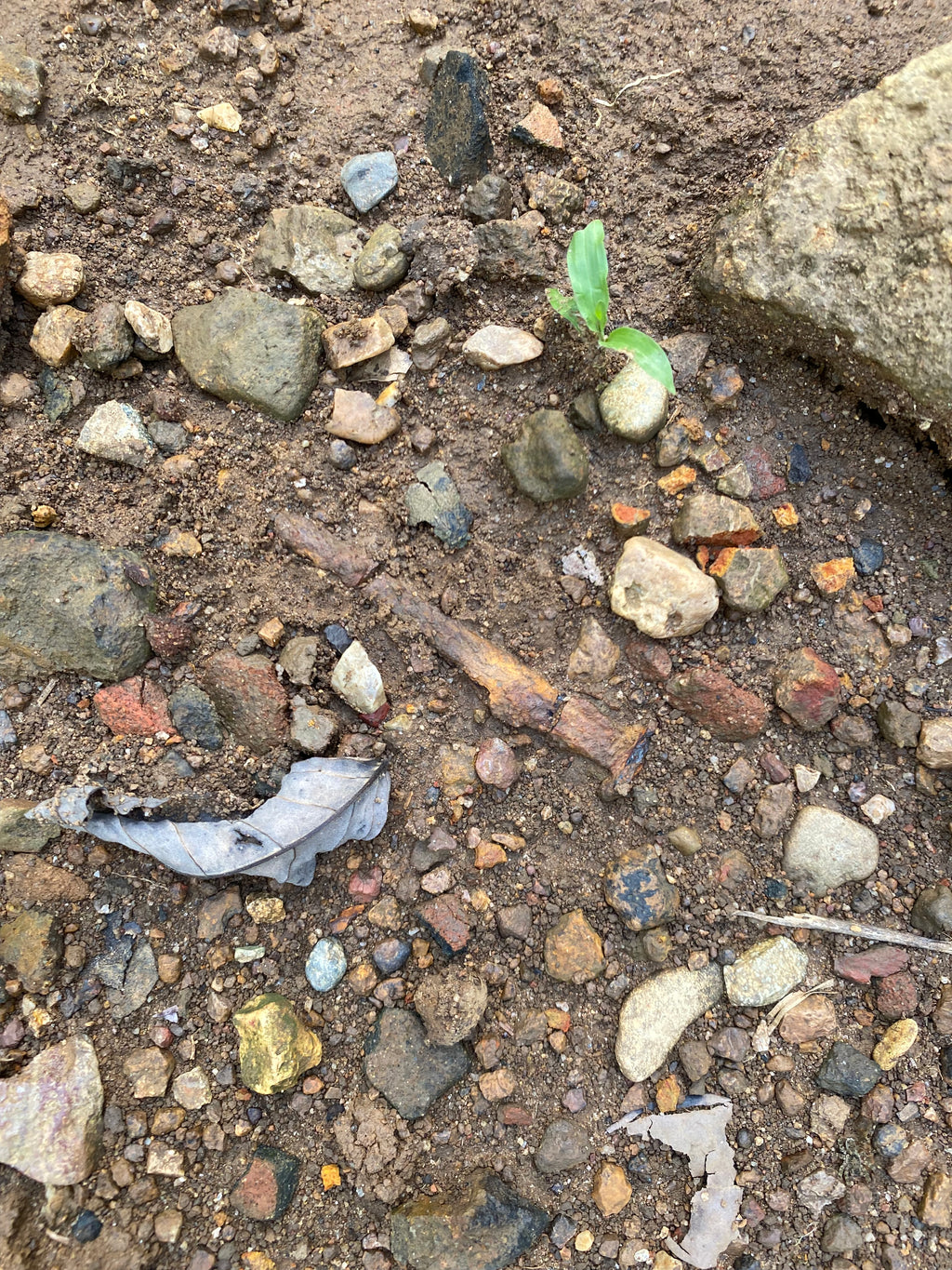 Santa María de la Antigua del Darién