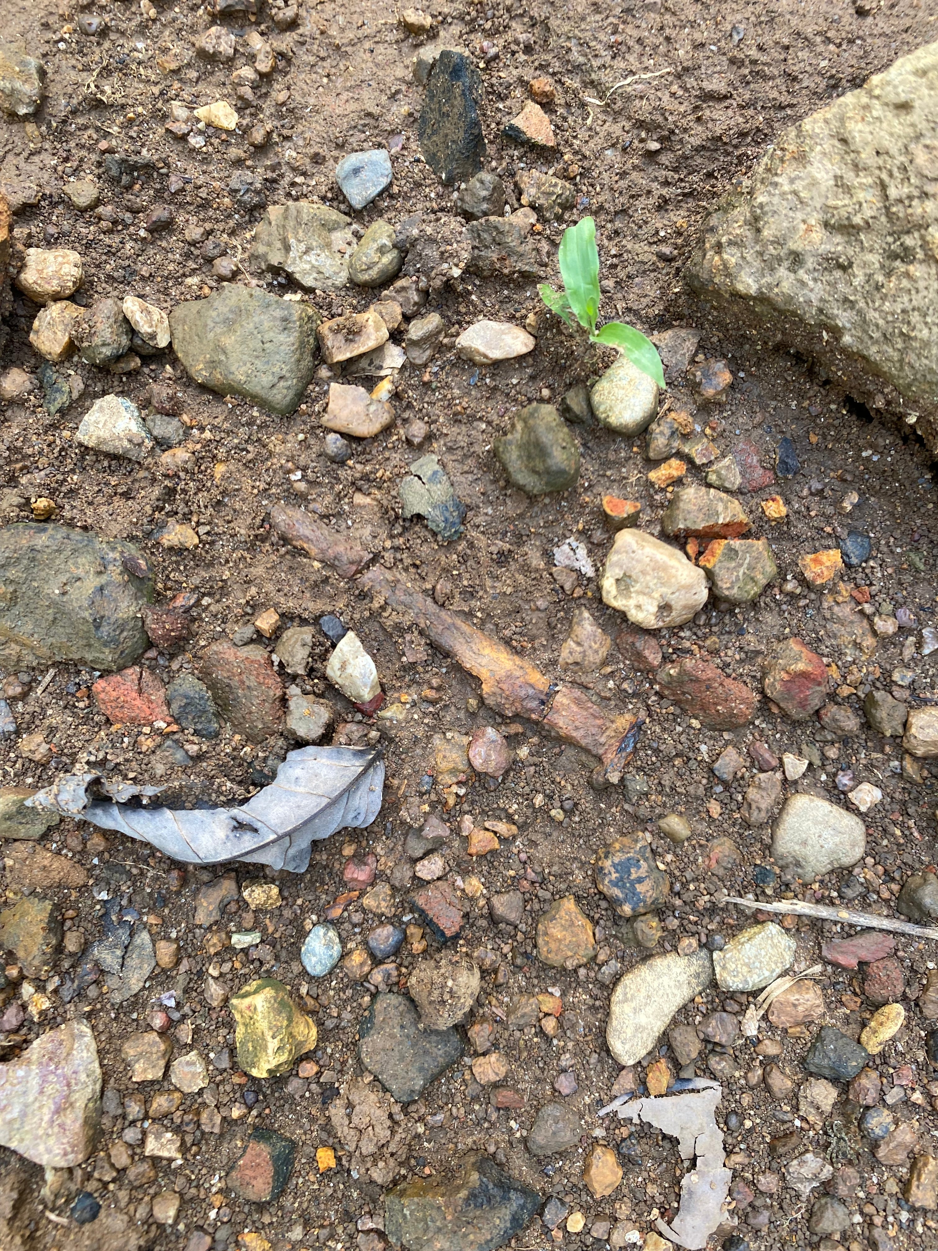 Santa María de la Antigua del Darién