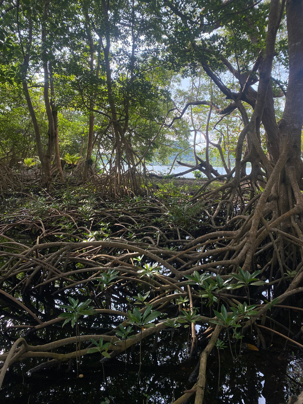 Santa María de la Antigua del Darién
