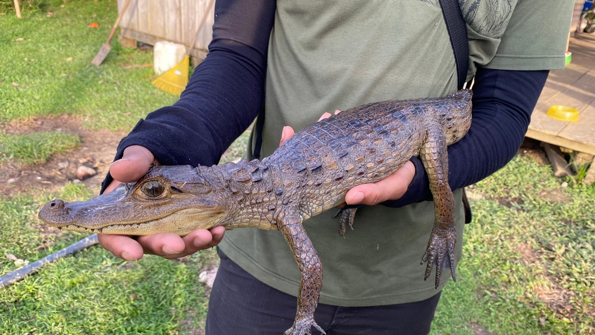 Surikí- reserva de jaguares y reconciliación