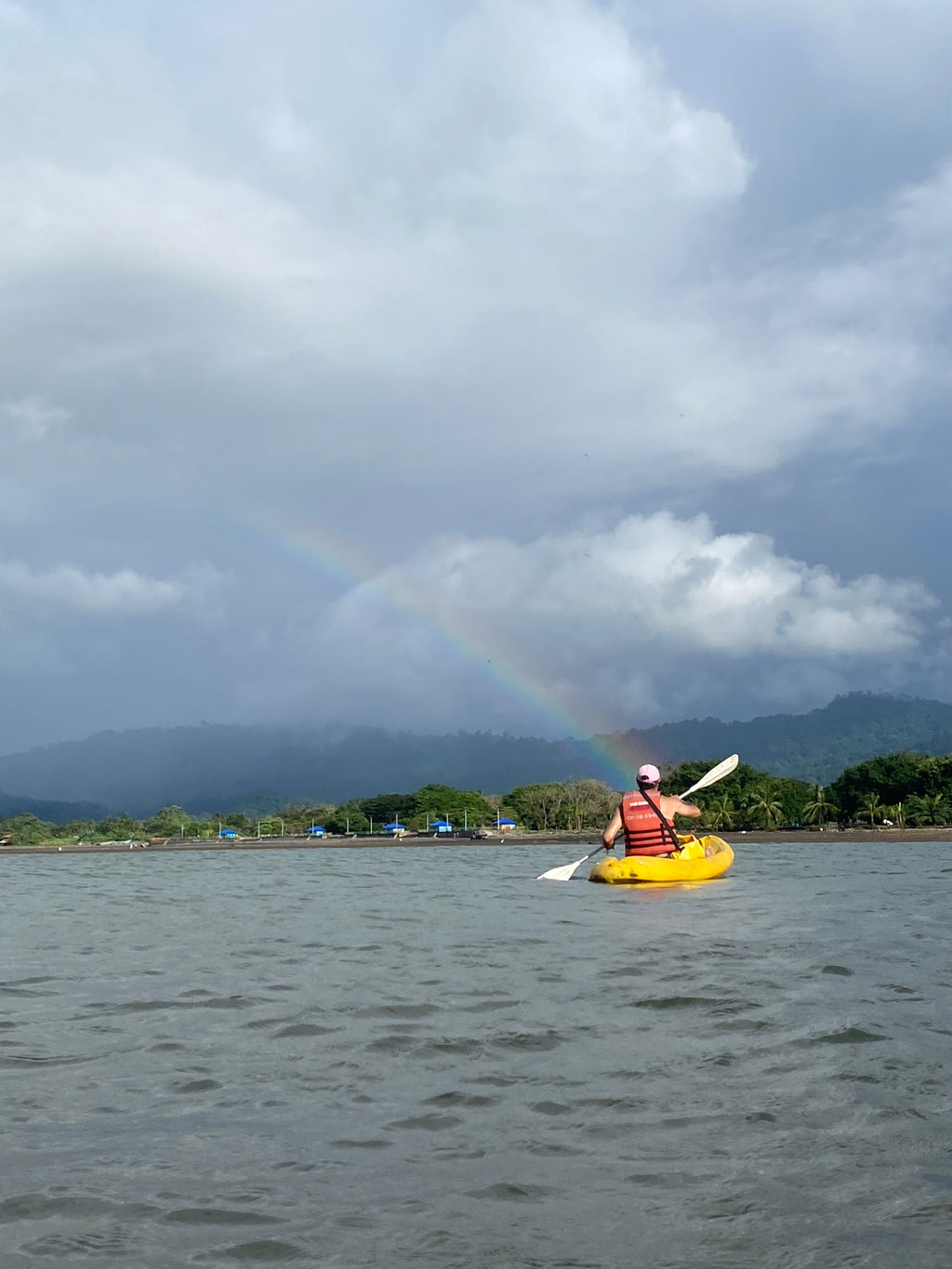 Regenerative Strategy Business Workshop (in the Pacific)