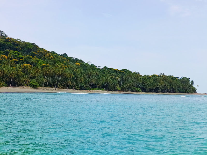 Isla Gorgona y Guapi en Semana Santa