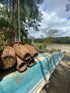 Isla Gorgona y Guapi en Semana Santa