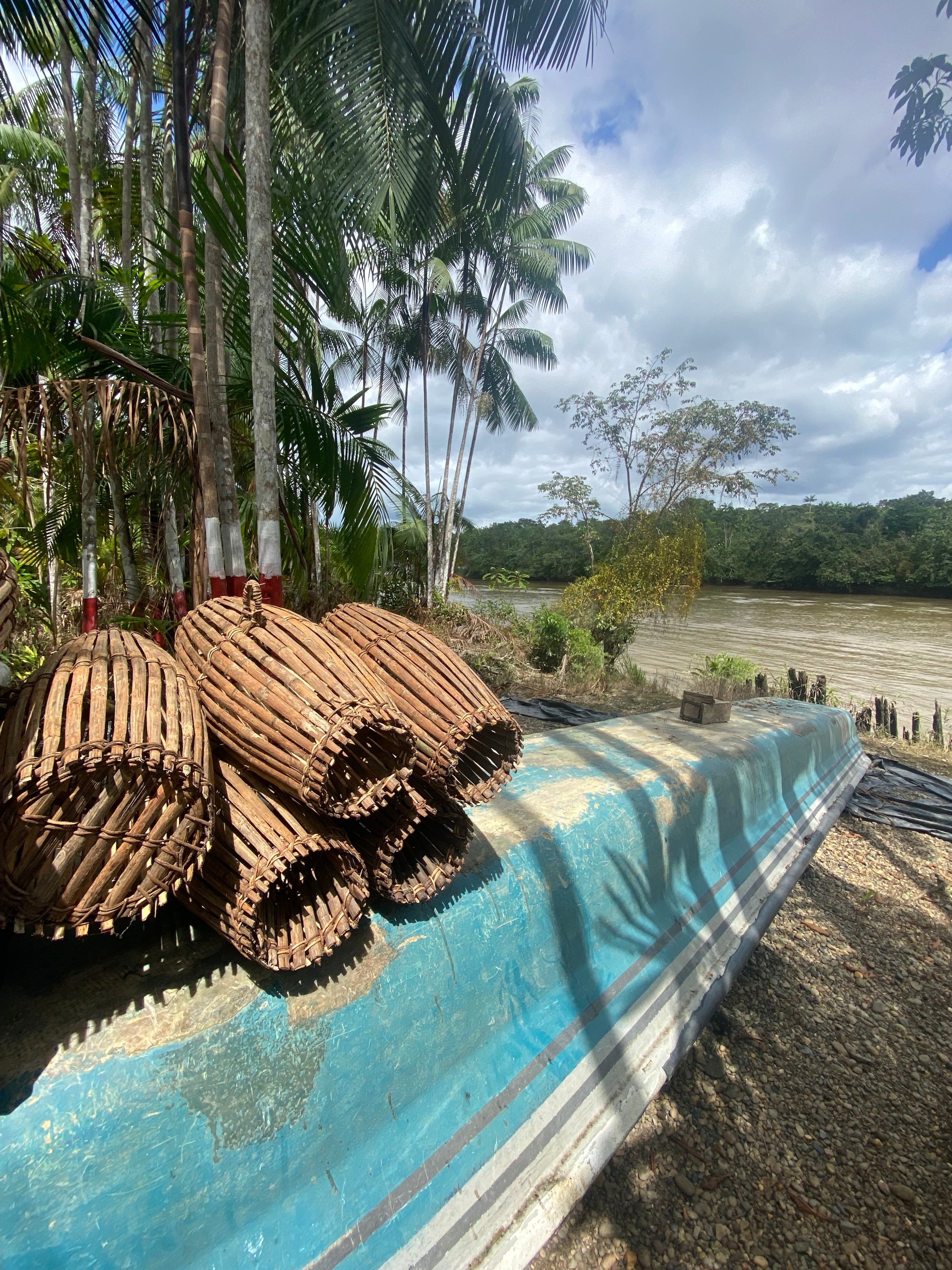 Isla Gorgona y Guapi en Semana Santa