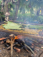Isla Gorgona y Guapi en Semana Santa