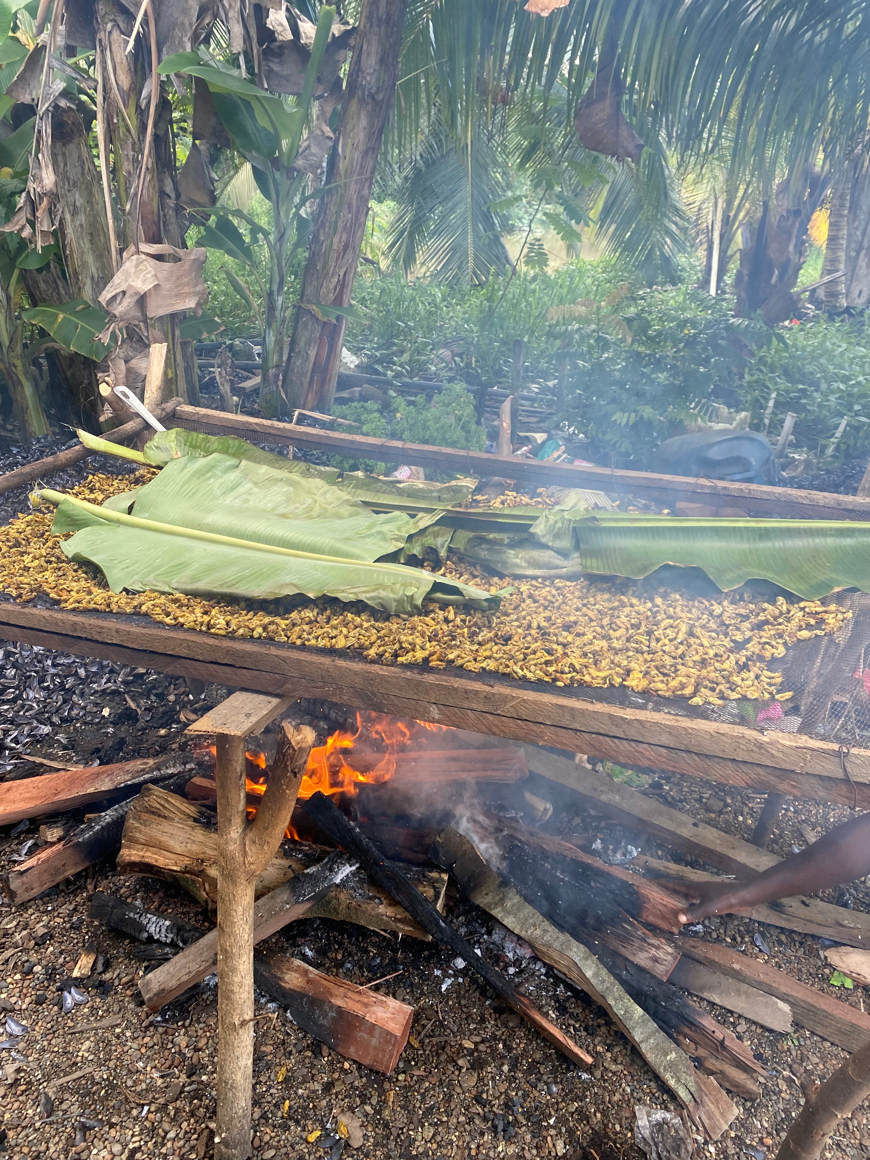 Isla Gorgona y Guapi en Semana Santa