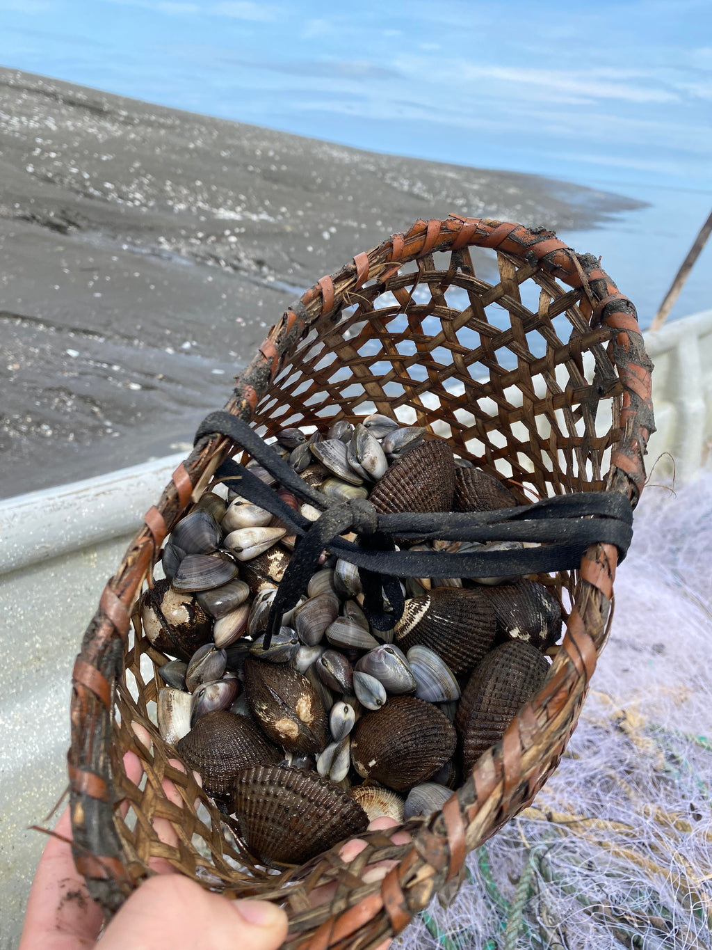 Isla Gorgona y Guapi en Semana Santa