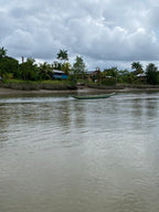 Isla Gorgona y Guapi en Semana Santa