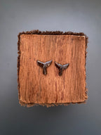Aretes artesanales por el Maestro Hever Mancilla