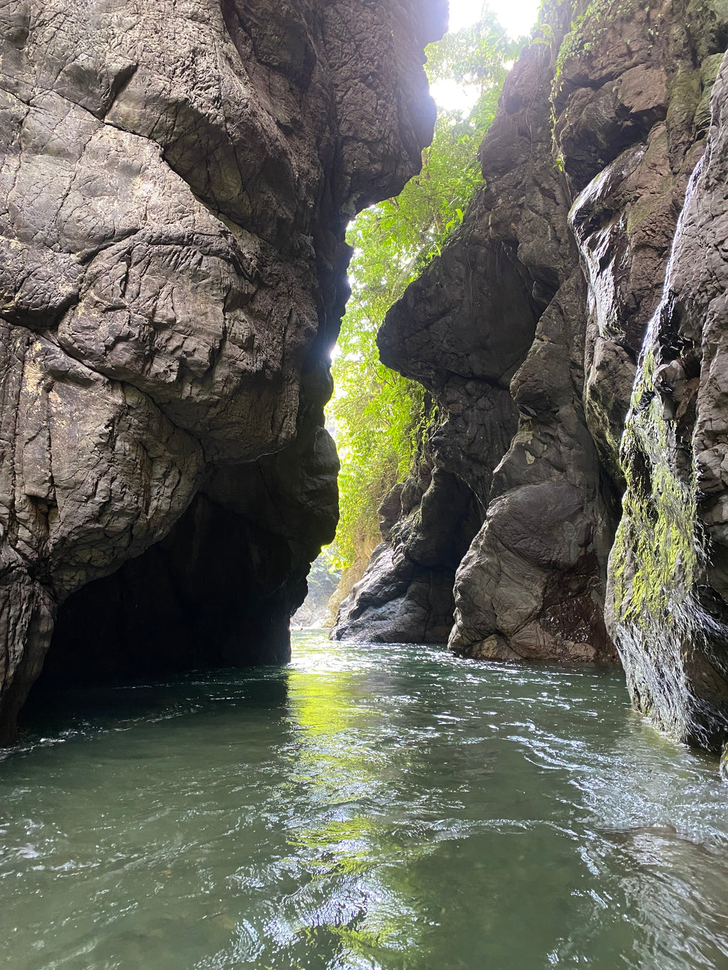 Parque Nacional Paramillo con los Emberá Eyábida