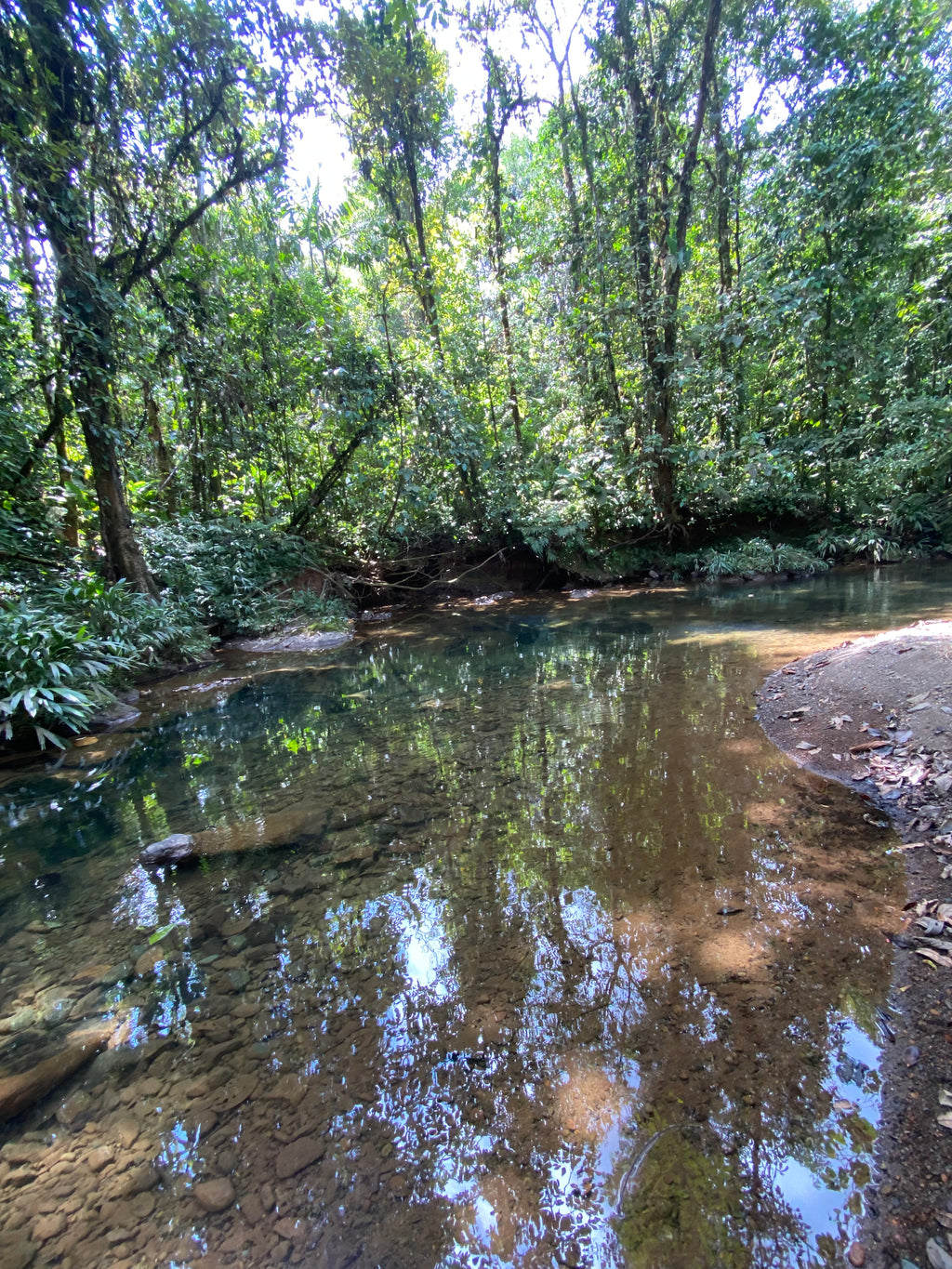 Parque Nacional Paramillo con los Emberá Eyábida
