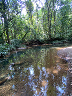 Parque Nacional Paramillo con los Emberá Eyábida