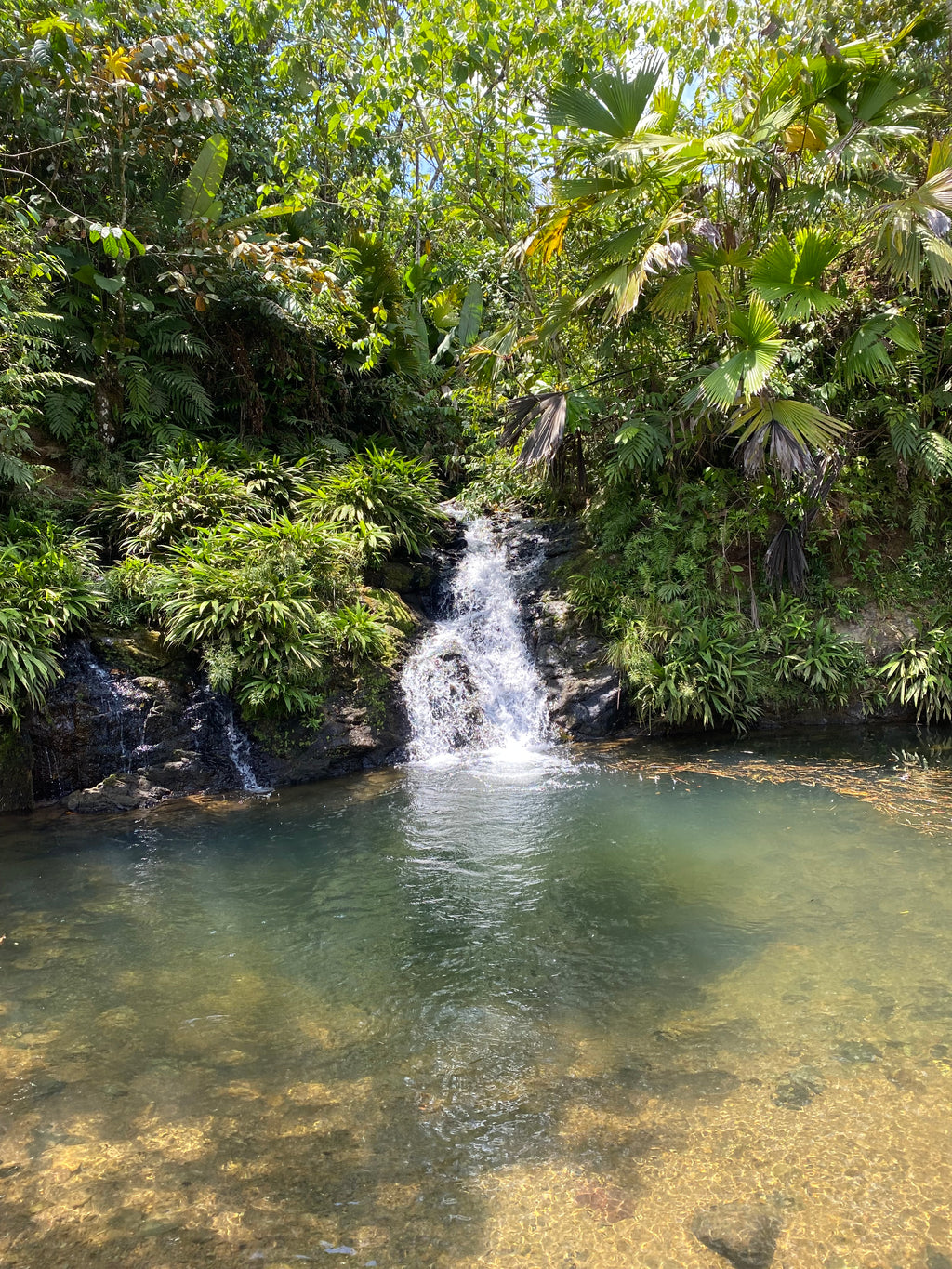 Parque Nacional Paramillo con los Emberá Eyábida