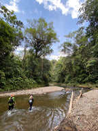 Parque Nacional Paramillo con los Emberá Eyábida