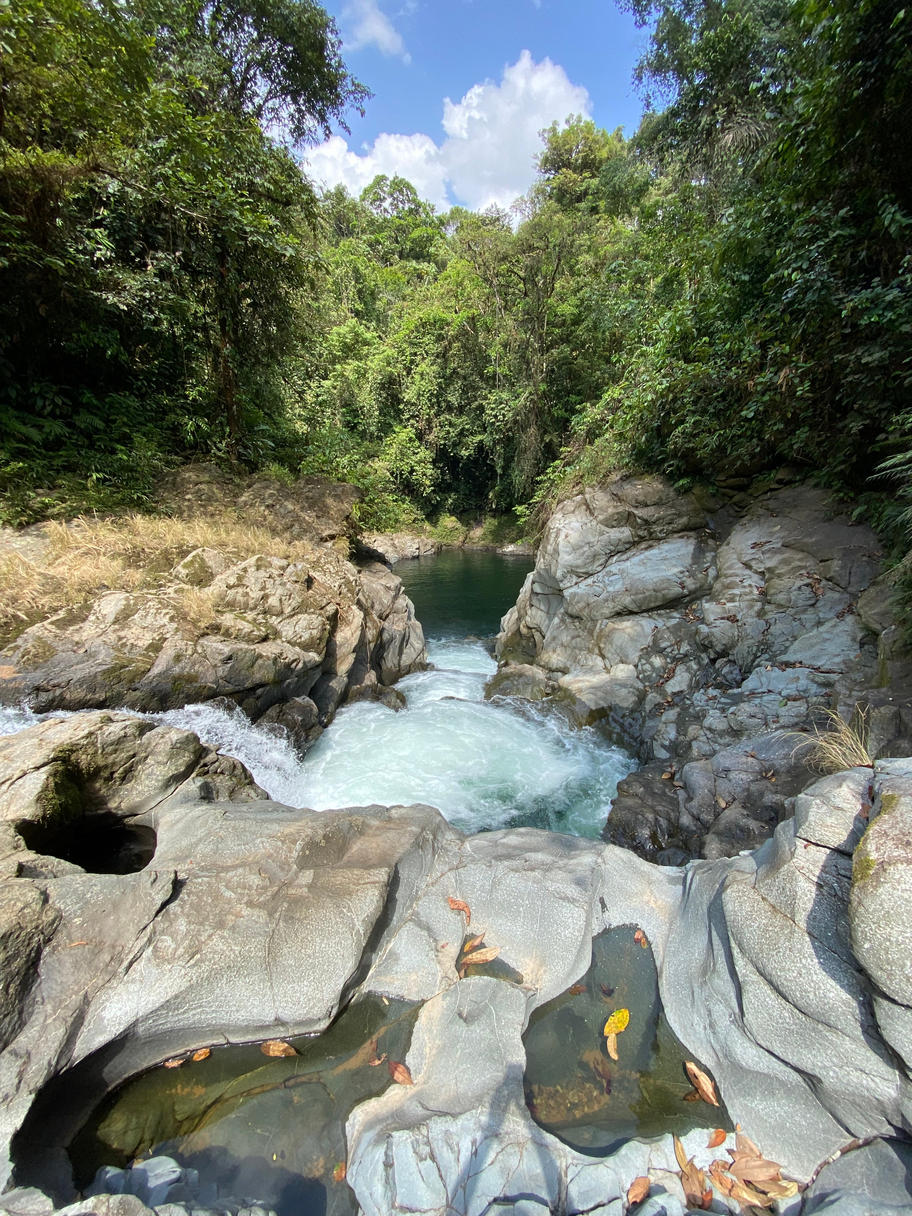 Parque Nacional Paramillo con los Emberá Eyábida