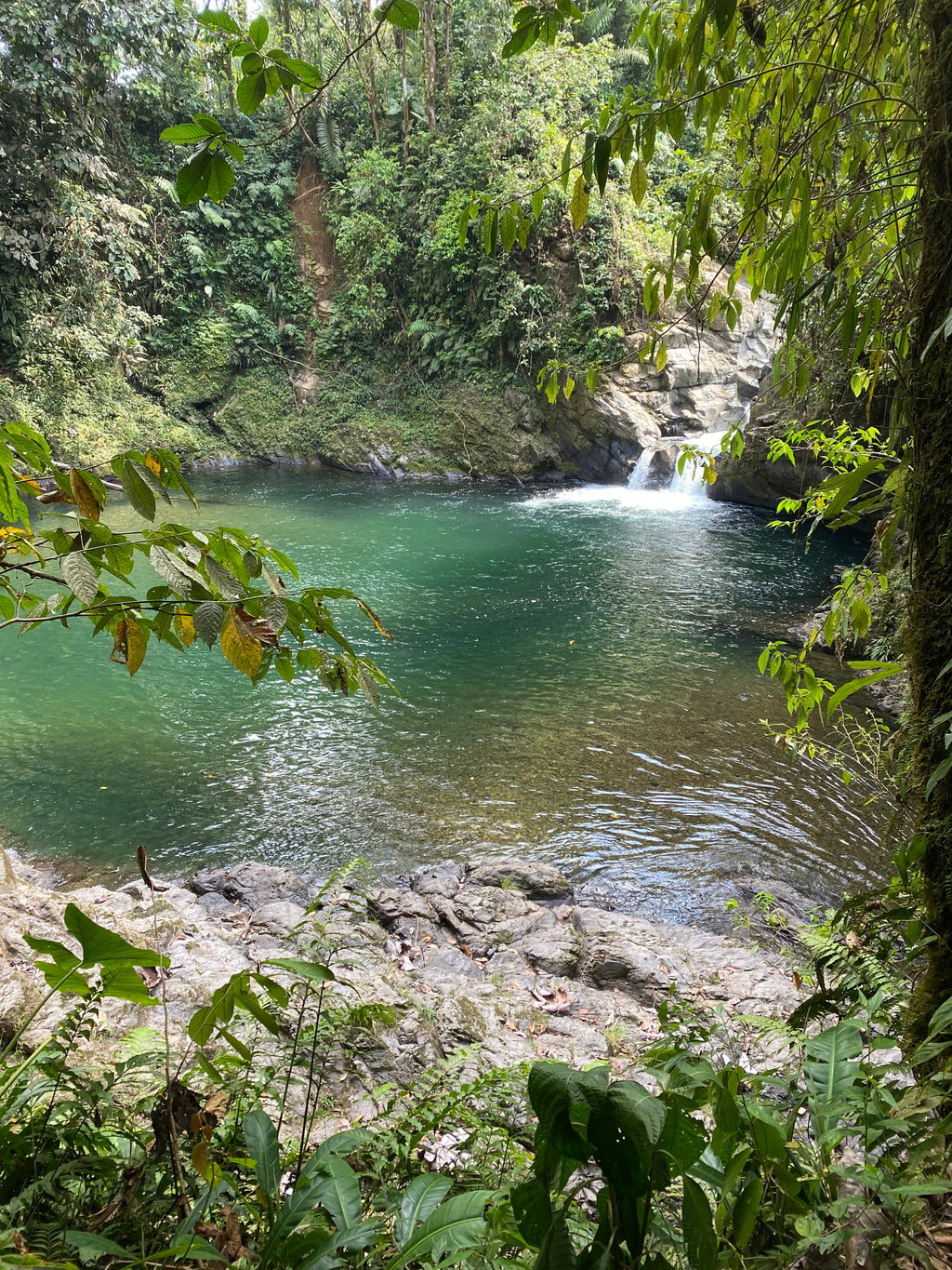 Parque Nacional Paramillo con los Emberá Eyábida