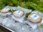 Hamburguesas de atún VEDA (520grs, presentación de 4 unidades)