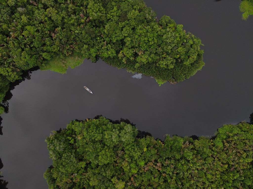 Surikí- reserva de jaguares y reconciliación