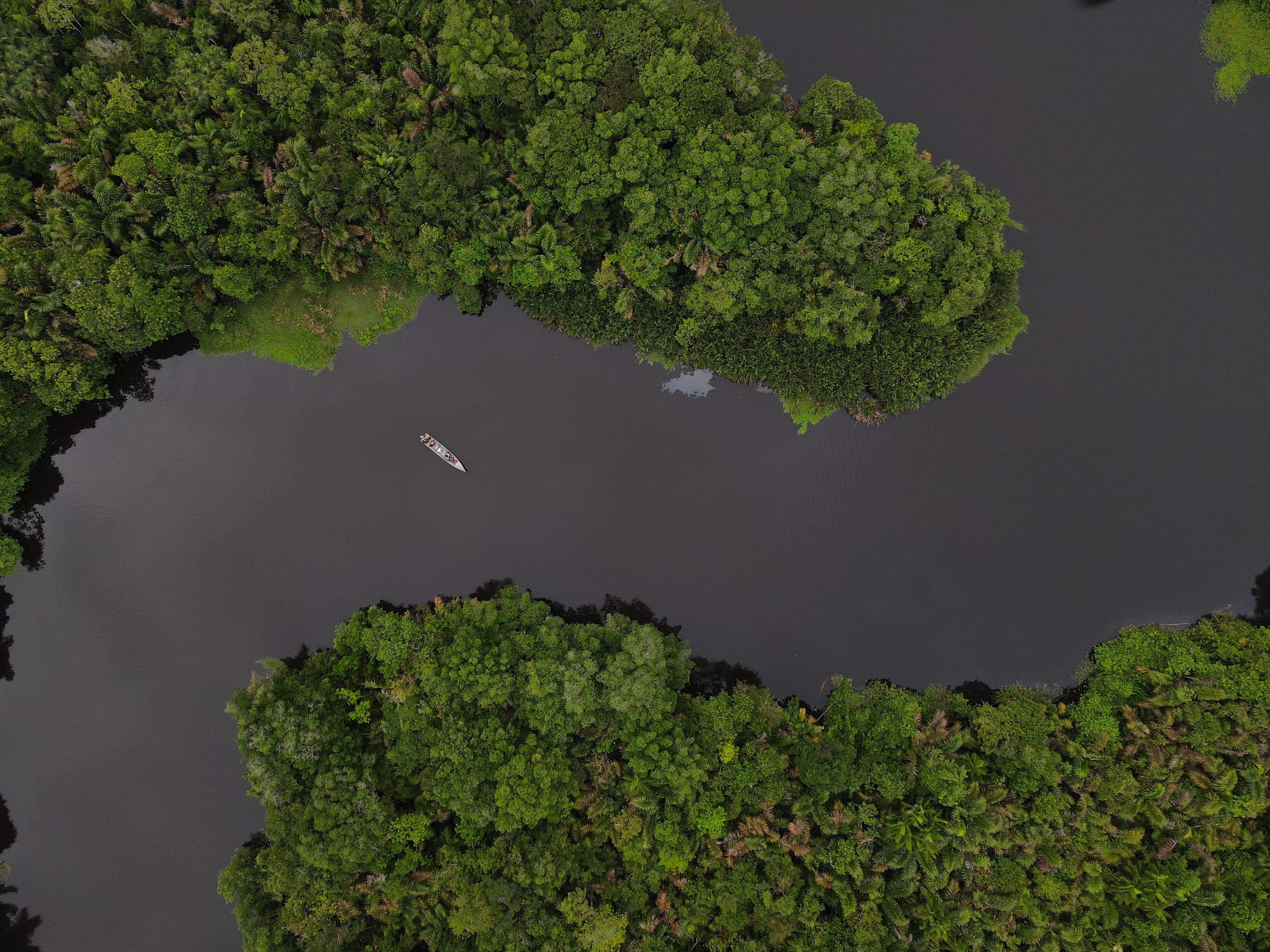 Surikí- reserva de jaguares y reconciliación