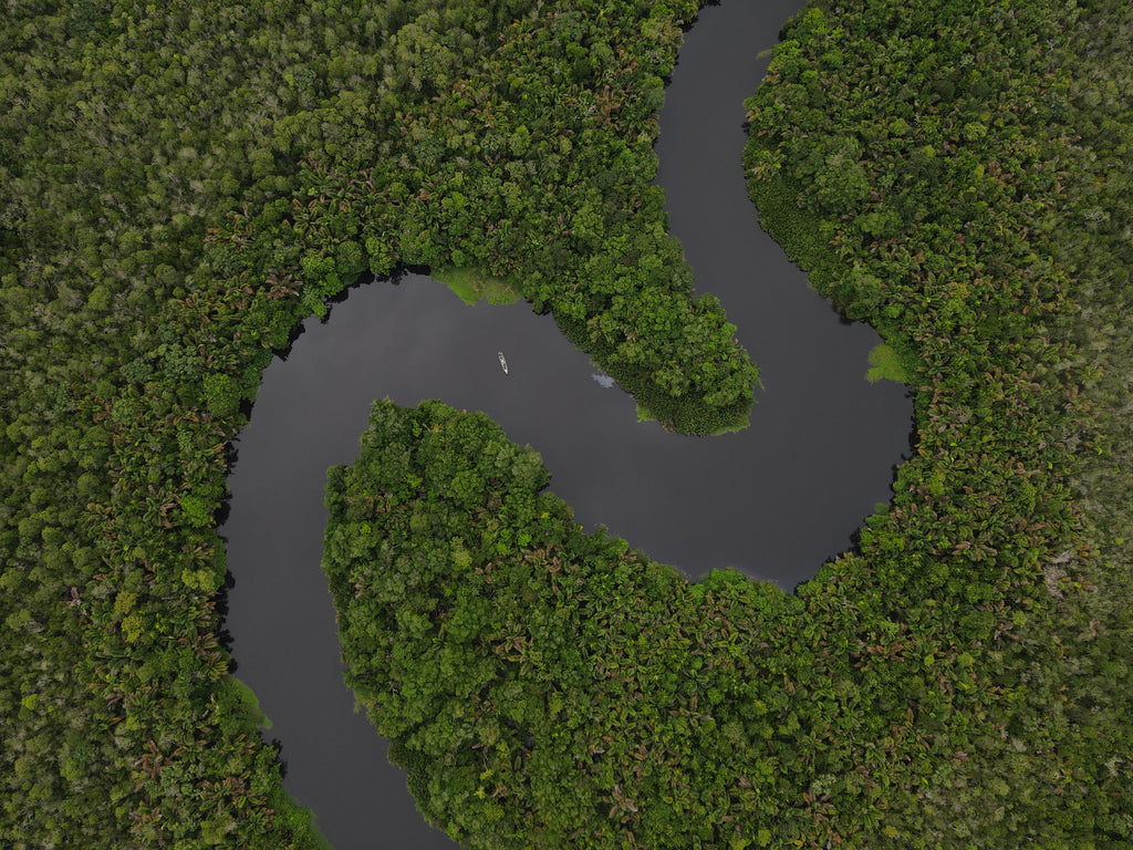 Surikí- reserva de jaguares y reconciliación