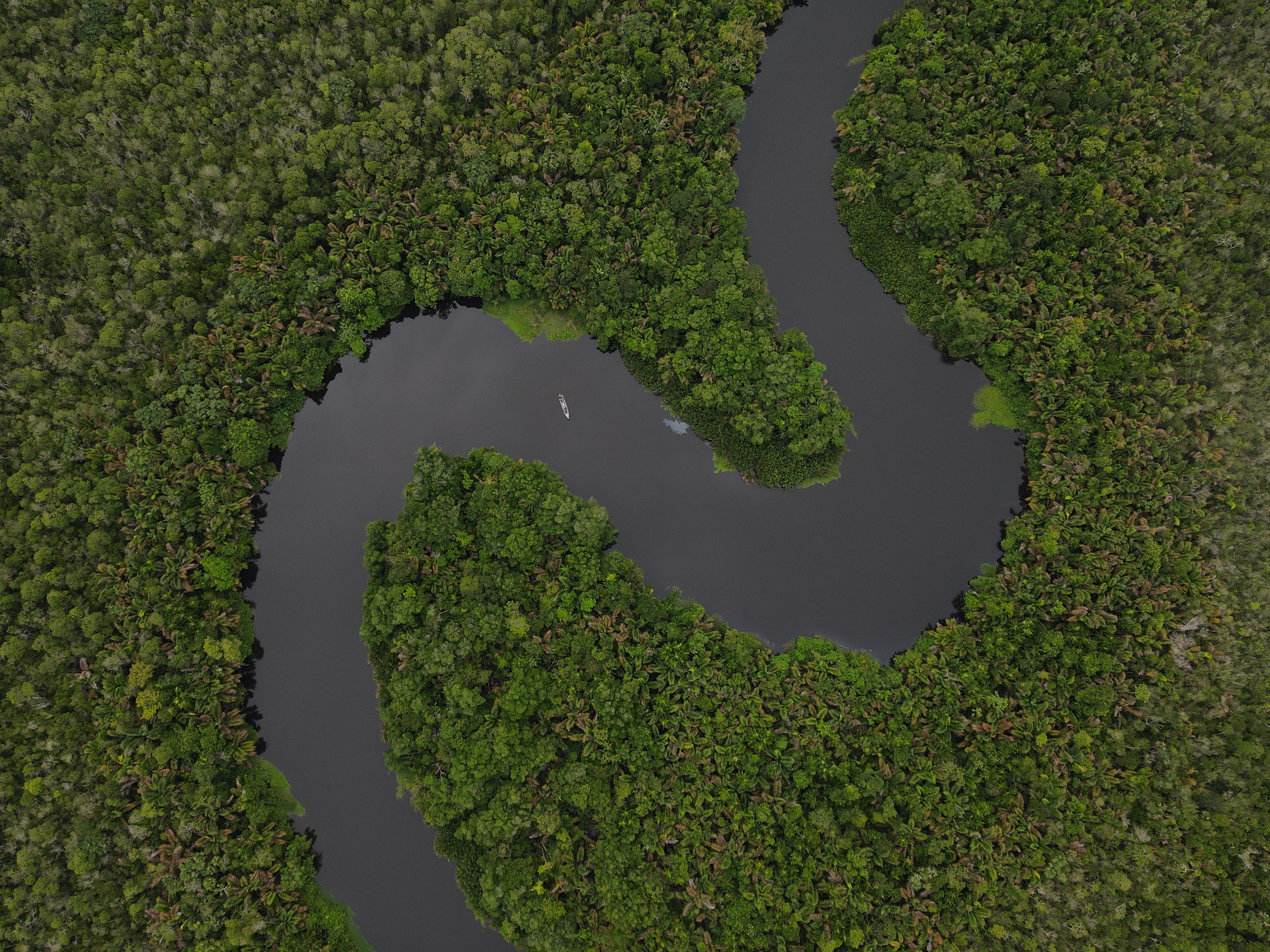 Surikí- reserva de jaguares y reconciliación