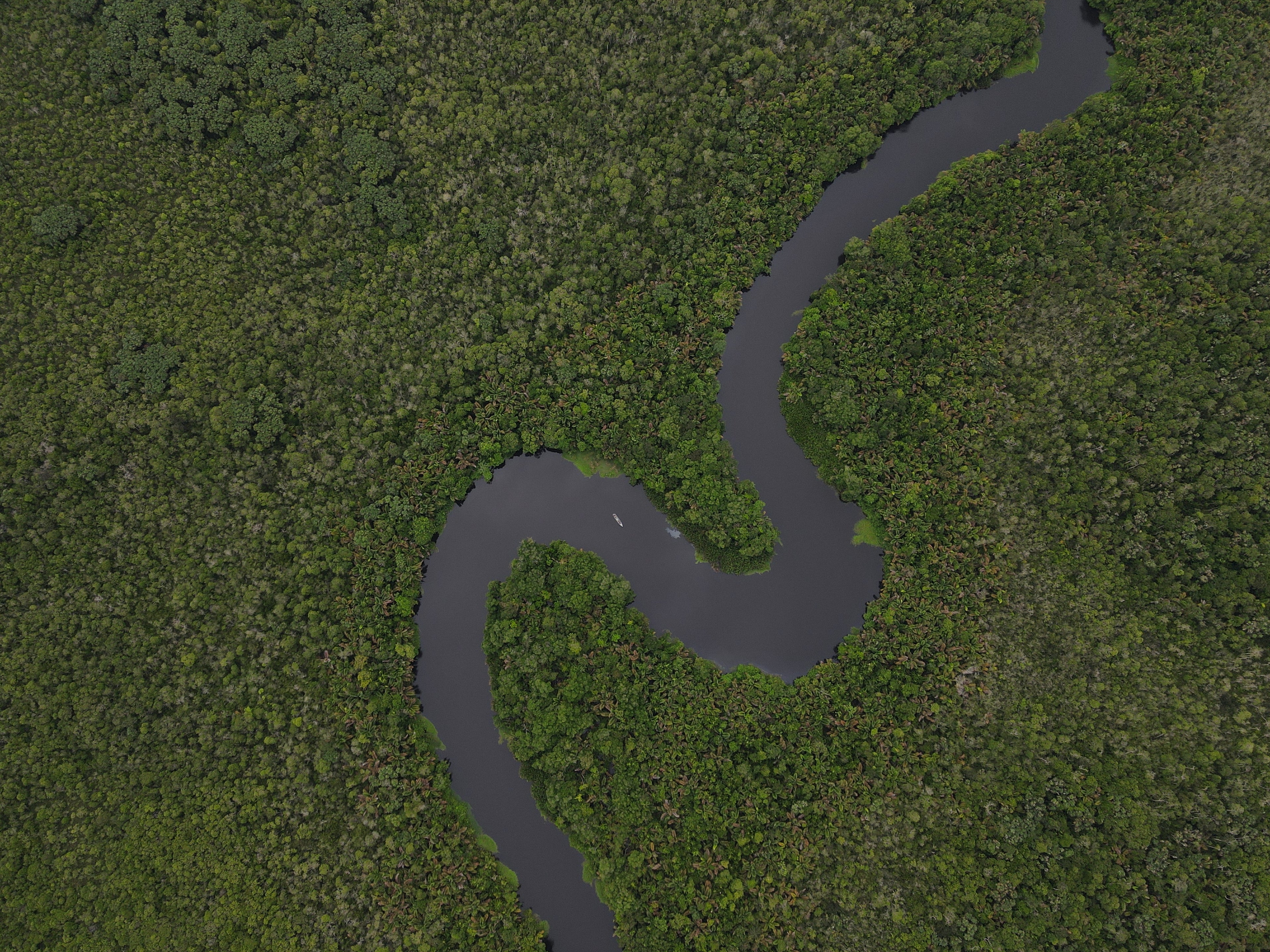 Surikí- reserva de jaguares y reconciliación